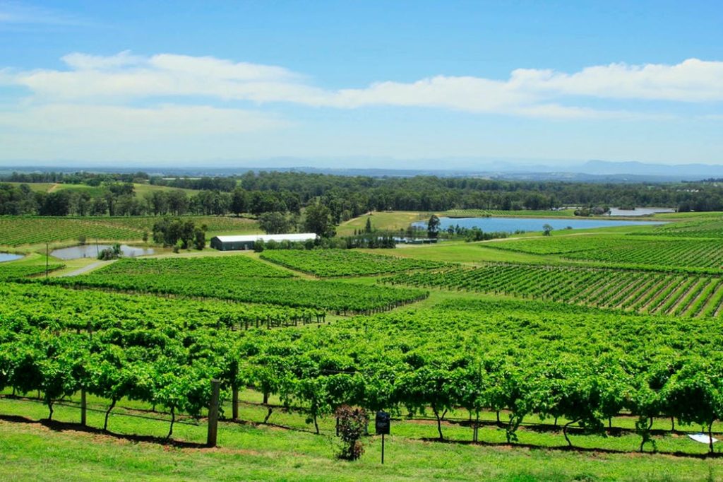 Wine Farm in Cape Town