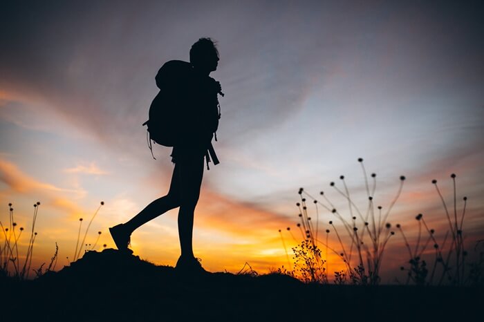 Cape Point with Hiking & Biking