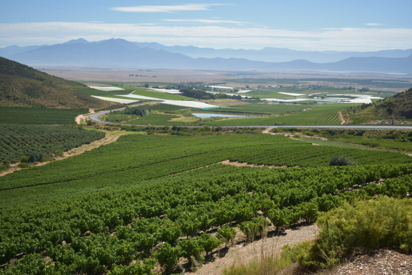 A Wine-Loving Traveler’s Gem: Riebeek Kasteel