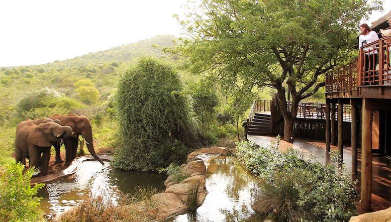 3 of Southern Africa’s Best Safari Parks: A Quick Guide