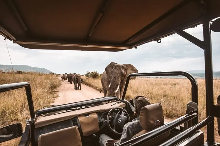 Hluhluwe/ Umfolozi Game Reserve