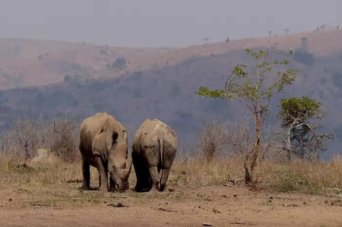 Hluhluwe - Umfolozi Game Reserve