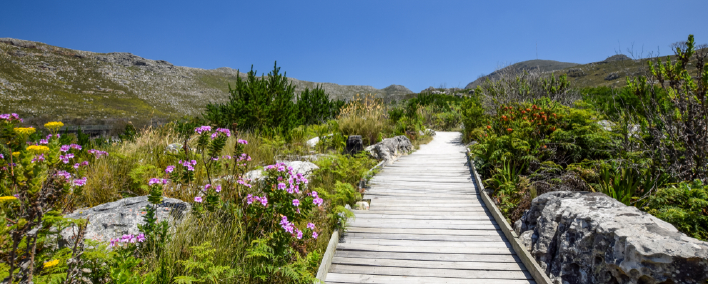 silvermine