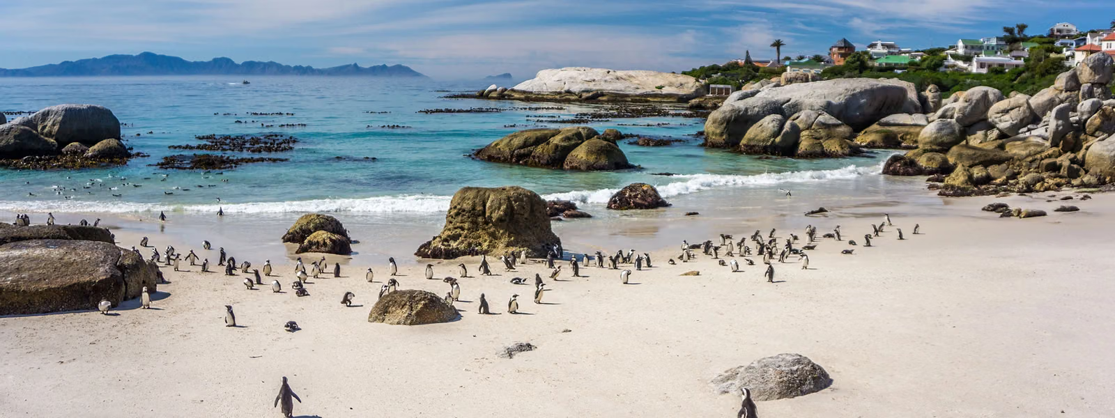 Boulders Beach in Simon’s Town, home to African penguins